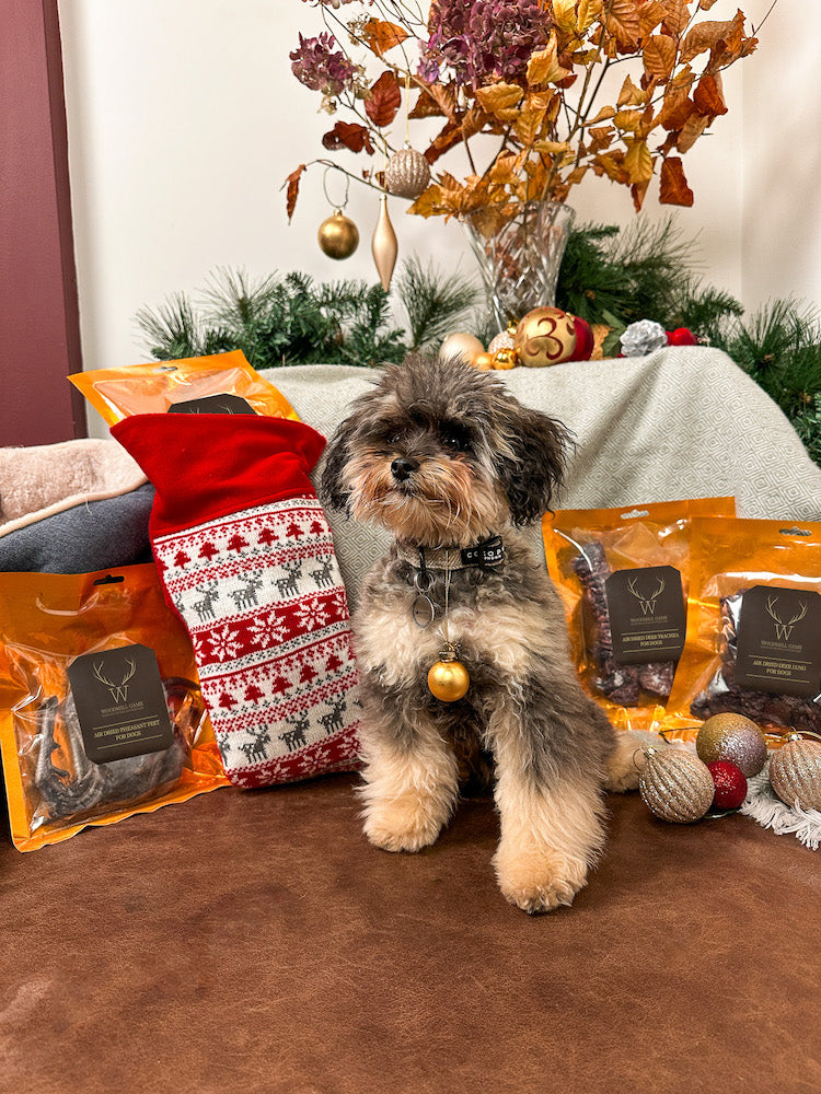 Wild Doggy Stocking