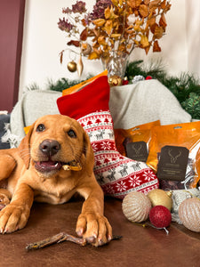 Wild Doggy Stocking